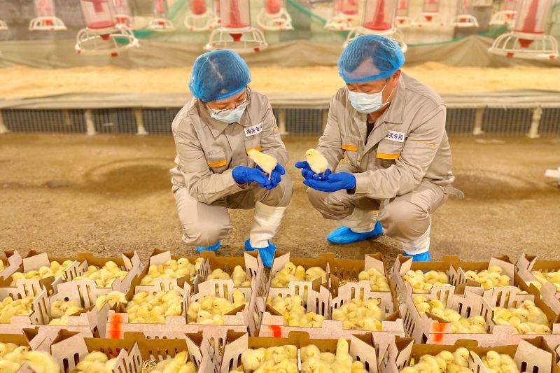 “烟台—塞内加尔”西非航线正式开通（图）