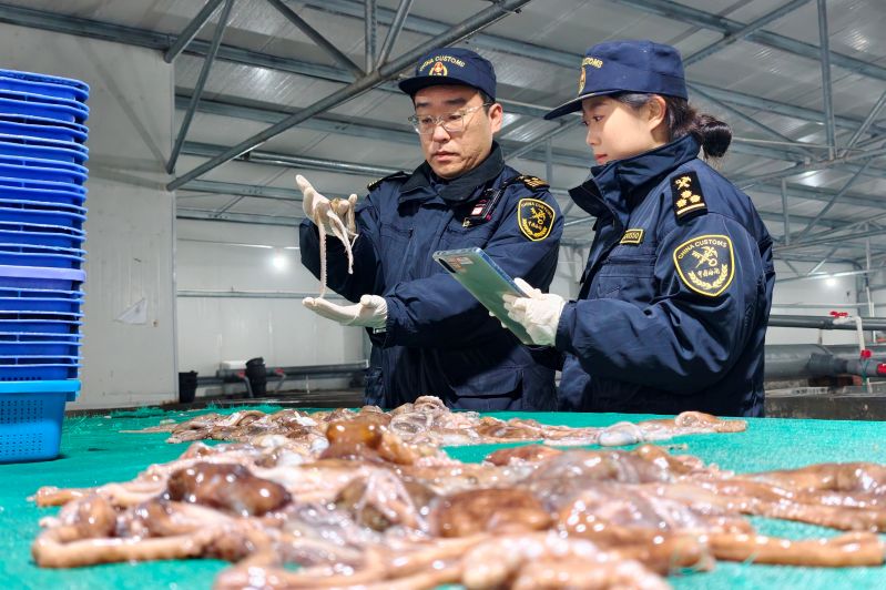 黄岛海关查获有害元素超标铜精矿 2630.67吨（图）