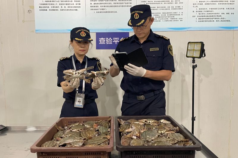 风电产品出口强势增长（图）