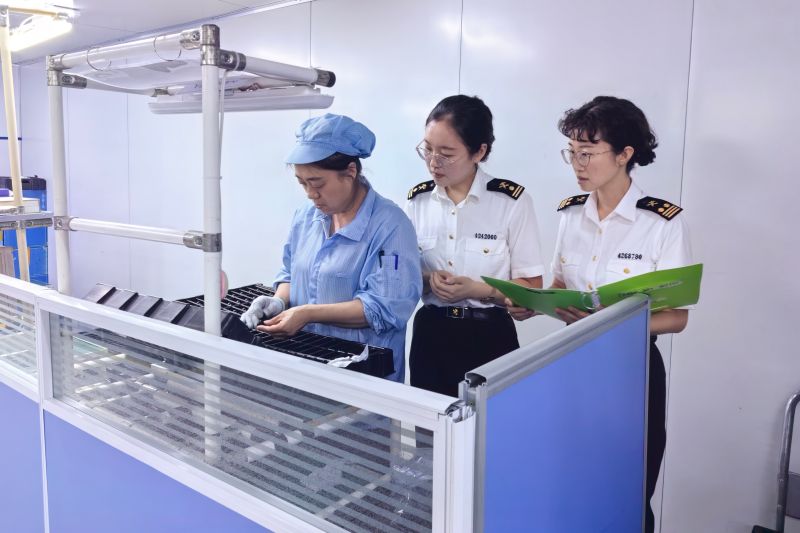 烟台海关在进境船舶中截获蜚蠊800余只（图）