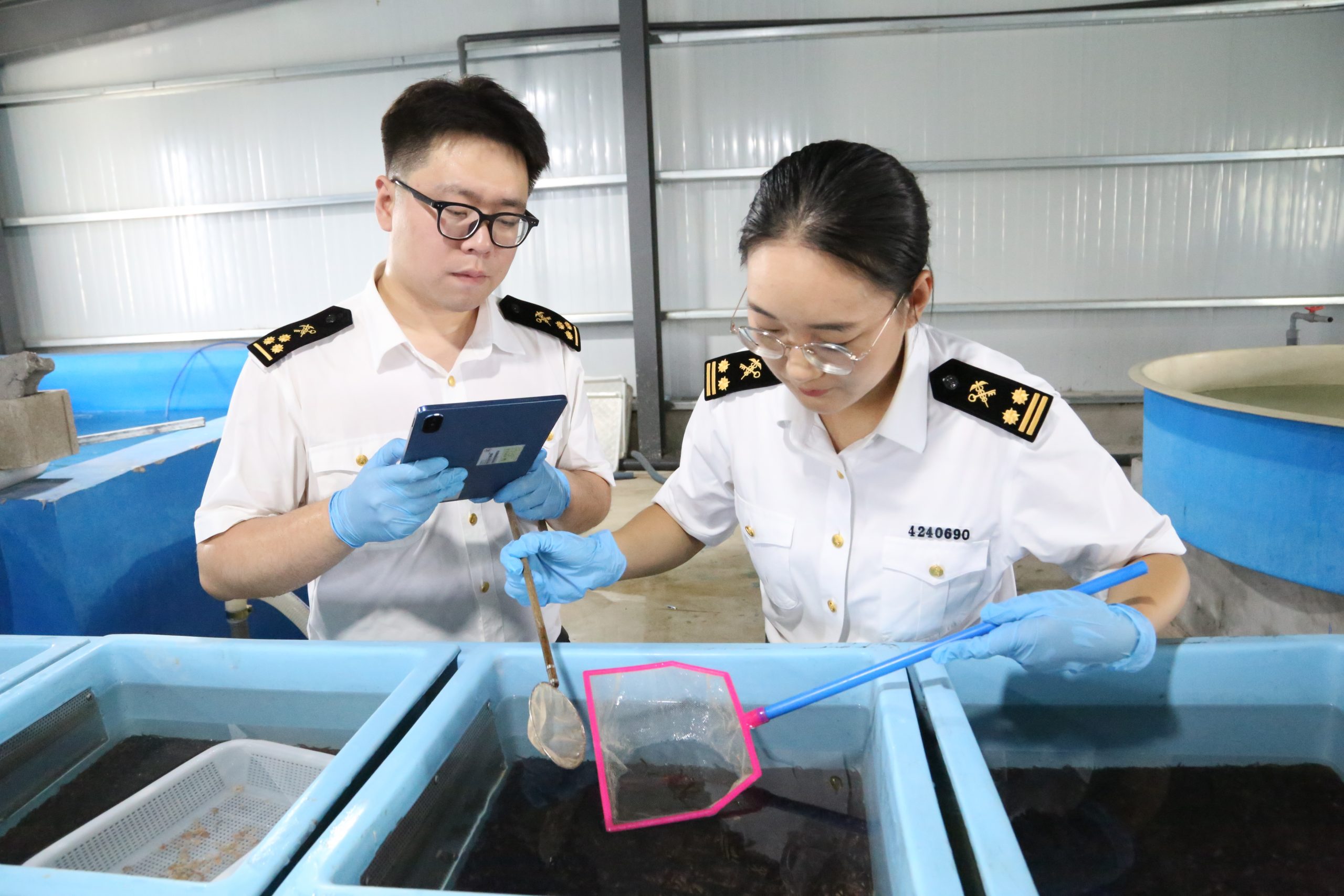 黄岛海关查获爆炸式铆钉200万枚（图）